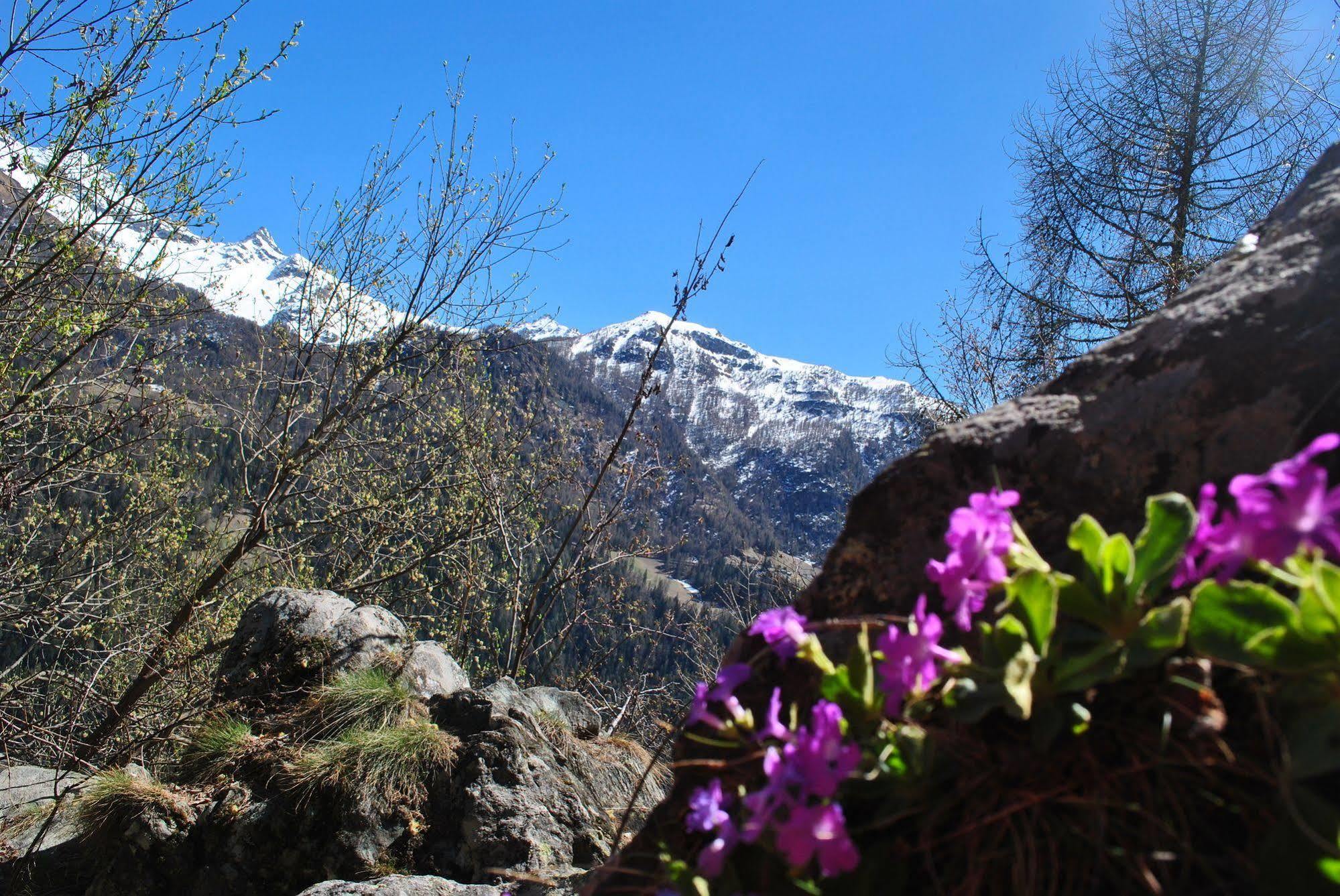 Hotell Millefiori- Alpine Event Lodge วัลตูร์นอนช์ ภายนอก รูปภาพ